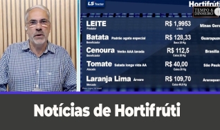 Tempo e dinheiro