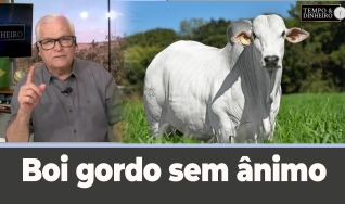 Tempo e dinheiro