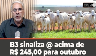 Tempo e dinheiro