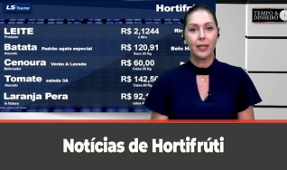 Tempo e dinheiro