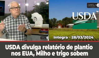 Tempo e dinheiro
