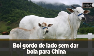 Tempo e dinheiro