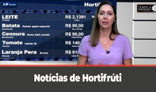 Tempo e dinheiro