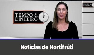 Tempo e dinheiro