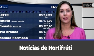 Tempo e dinheiro