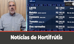 Tempo e dinheiro