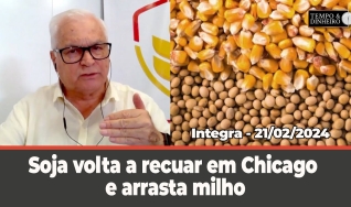 Tempo e dinheiro