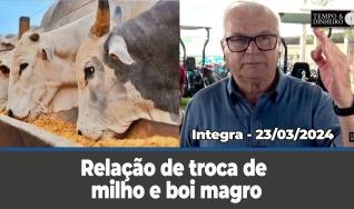 Tempo e dinheiro