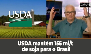 Tempo e dinheiro