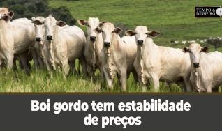 Tempo e dinheiro