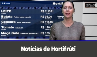 Tempo e dinheiro