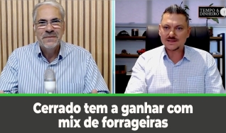 Tempo e dinheiro