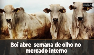 Tempo e dinheiro