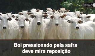 Tempo e dinheiro
