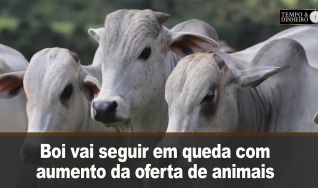 Tempo e dinheiro