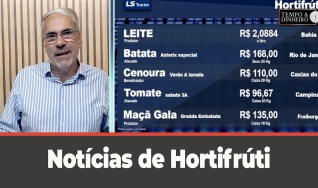 Tempo e dinheiro