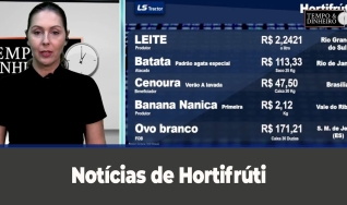 Tempo e dinheiro