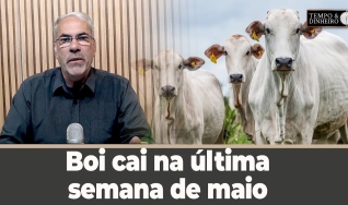 Tempo e dinheiro