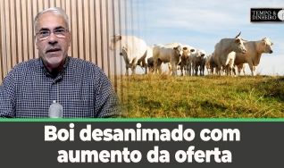 Tempo e dinheiro