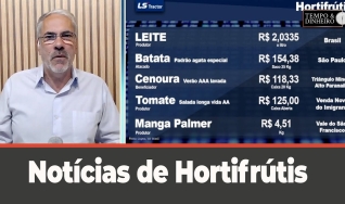 Tempo e dinheiro