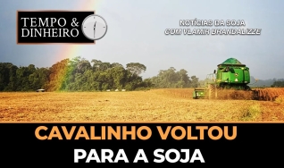 Tempo e dinheiro
