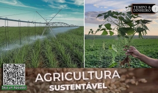 Para o IAC, a Agricultura Sustentável oferece novas oportunidades para o produtor rural