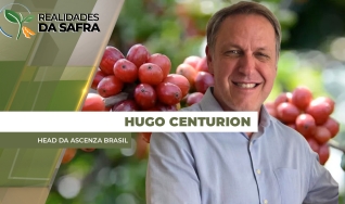 Hugo Centurion - Head da Ascenza Brasil
