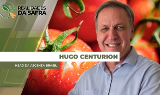 Hugo Centurion - Head da Ascenza Brasil
