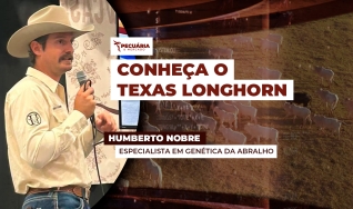 Humberto Nobre - Abralho