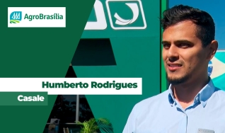 Humberto Rodrigues Casale