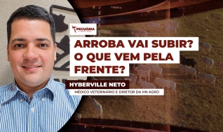 Hyberville Neto - Médico veterinário e Diretor da HN AGRO