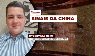 Hyberville Neto - Médico veterinário e Diretor da HN AGRO