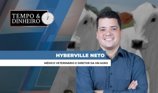 Hyberville Neto