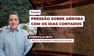 Hyberville Neto - Médico veterinário e Diretor da HN AGRO