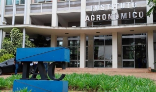 Regina Célia de Matos Pires - Pesquisadora do Instituto Agronômico (IAC)