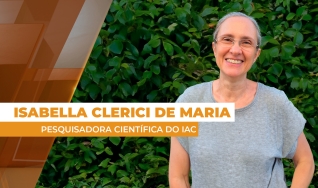 Isabella Clerici De Maria - Pesquisadora Científica do IAC
