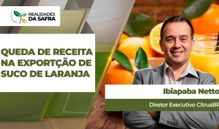 Ibiapaba Netto - Diretor Executivo CitrusBR