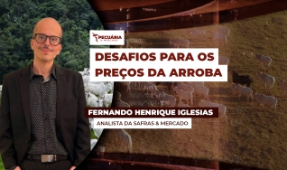 Fernando Henrique Iglesias - Analista da Safras & Mercado