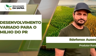 Ildefonso Ausec - Produtor Rural