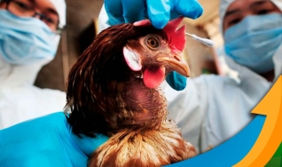 Talita Priscila Pinto - Pesquisadora do Centro de Agronegócio da FGV Agro