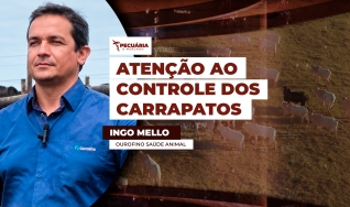 Ingo Mello - Ourofino Saúde Animal