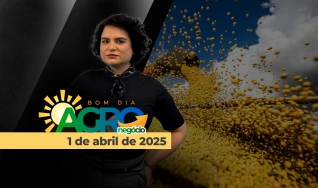 Bom dia Agro - Com Letícia Guimarães