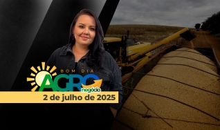 Bom Dia Agro - Com Carla Mendes