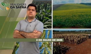Realidades da Safra - Notícias Agrícolas