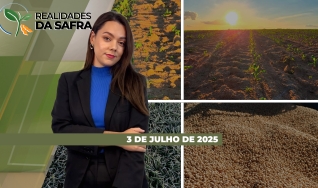 Realidades da Safra - Notícias Agrícolas