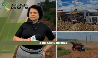 Realidades da Safra - Notícias Agrícolas