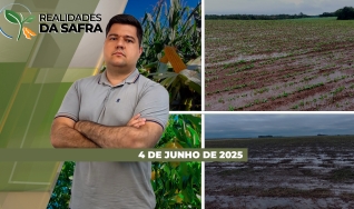 Realidades da Safra - Notícias Agrícolas