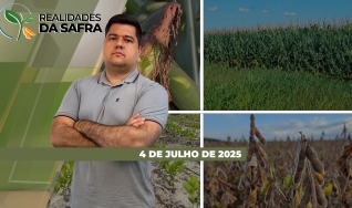 Realidades da Safra - Notícias Agrícolas