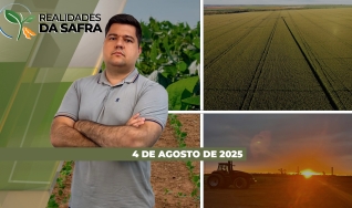 Realidades da Safra - Notícias Agrícolas
