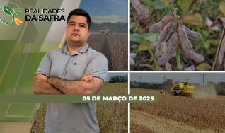 Realidades da Safra - Notícias Agrícolas